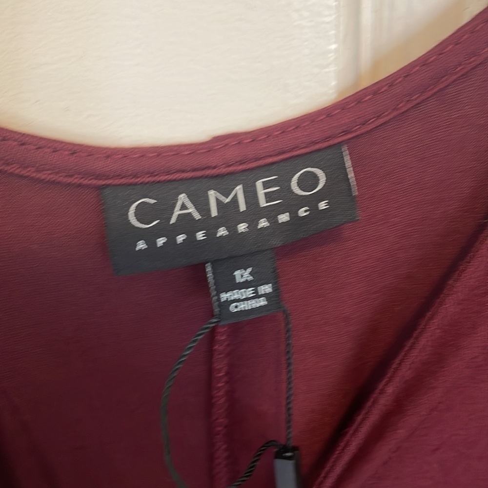 Cameo Appearance by Dia & Co. Kortney Tank Dress Burgundy.Size 1X - Picture 10 of 11